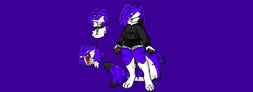 Midnight reference sheet :3 Sandbox Blog