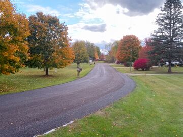 The Trees of Yesterday Sandbox Blog