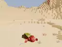 Out of Water