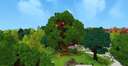 Tree House Sandbox Build