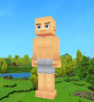 Improved Player Model Sandbox Model